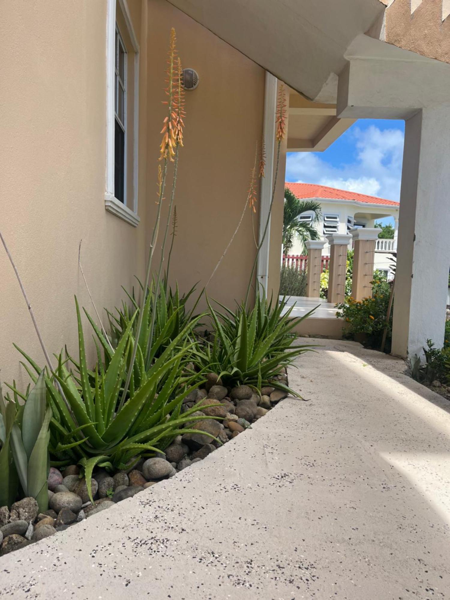 Belle Breeze Haven Appartement Gros-Islet Buitenkant foto