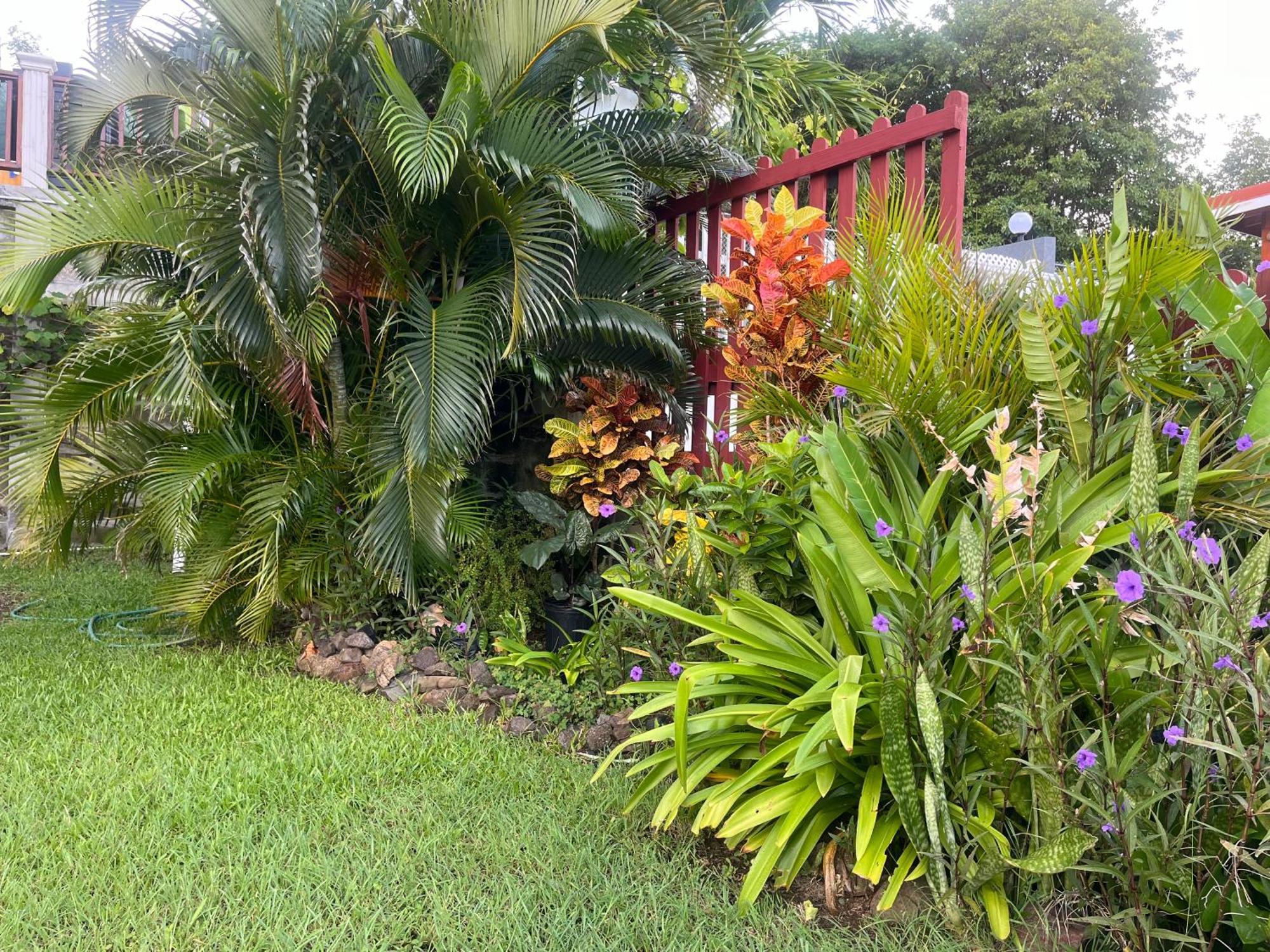 Belle Breeze Haven Appartement Gros-Islet Buitenkant foto